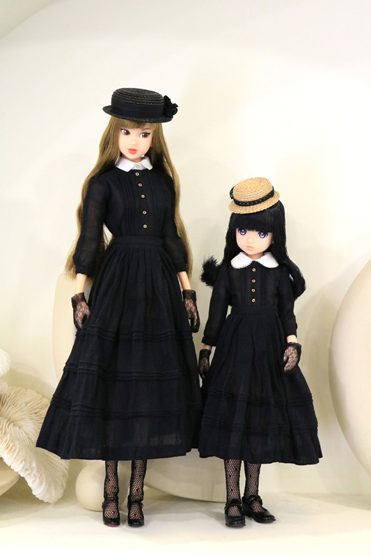 Dress set with CCS 21SP momoko long/papilion(파필리온) | Exhibits