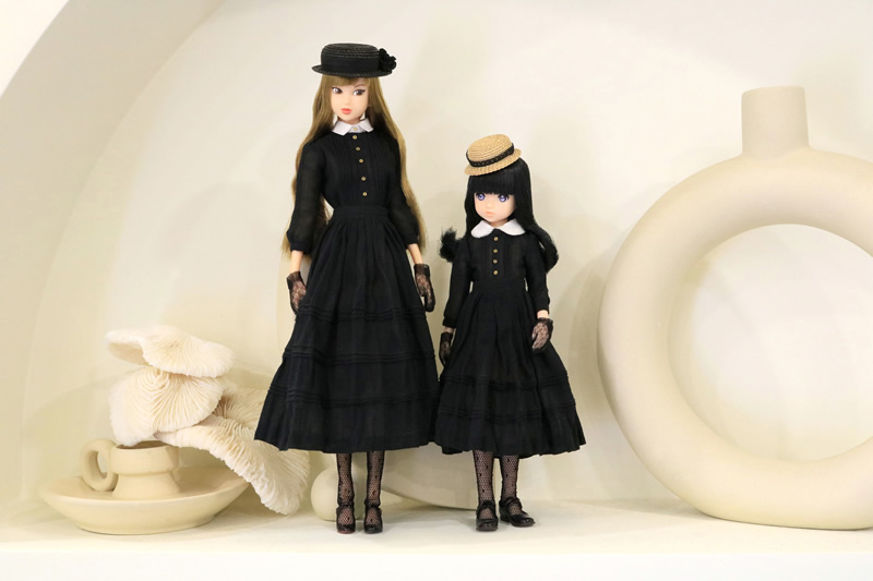 Dress set with CCS 21SP momoko long/papilion(파필리온) | Exhibits